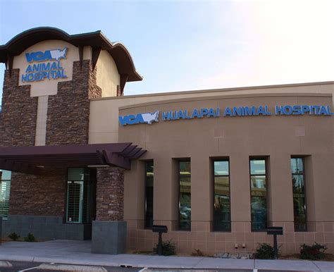 Vca hualapai animal hospital - Hours. Mon - Fri: 9:00 am - 6:00 pm. Sat - Sun: Closed. VCA Contra Costa Animal Hospital provides primary veterinary care for your pets. VCA is where your pet's health is our top priority and excellent service is our goal.